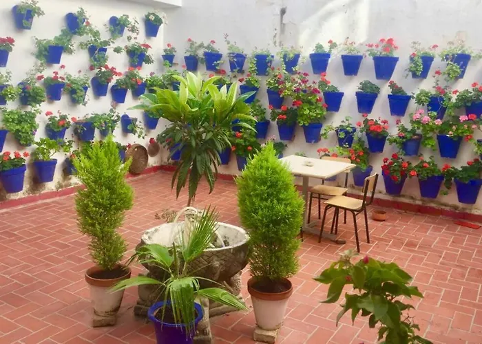 Apartamento Toril-Casco Historico
